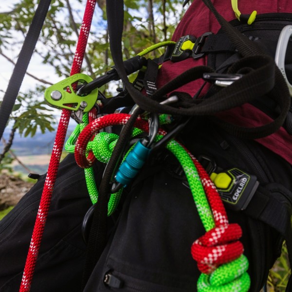 Cordage
