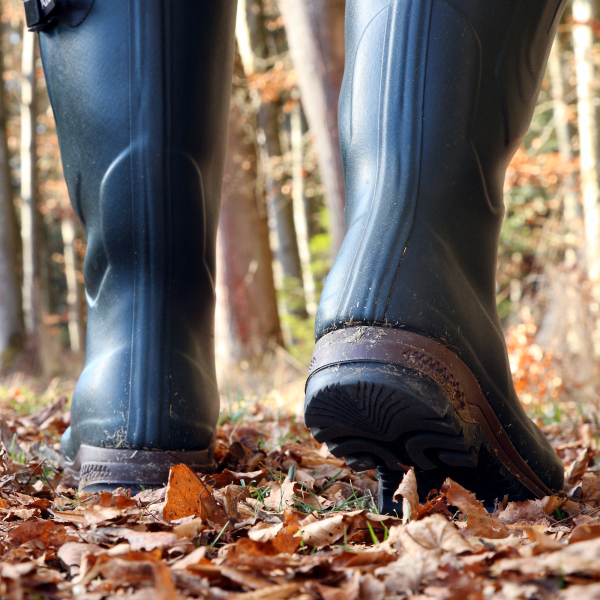 Bottes