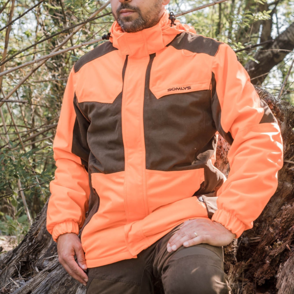 Veste