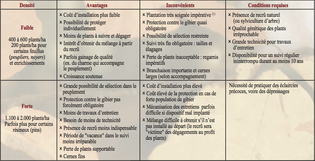 avantages et contraintes des faibles et fortes densités de plantation