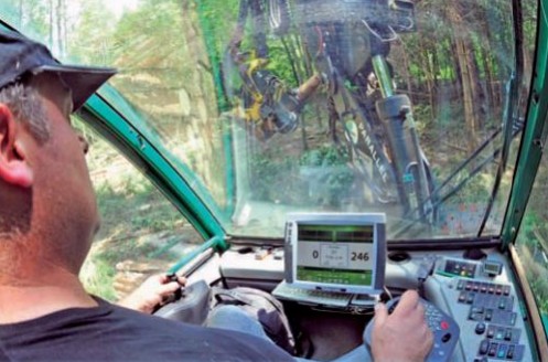 Le déséquilibre forêt-gibier : son coût pour la forêt d'Alsace