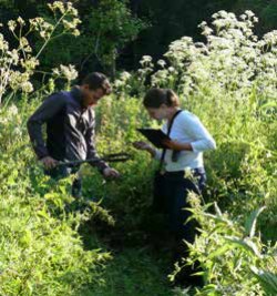 Un nouvel élan pour une populiculture de qualité dans la région Grand Est