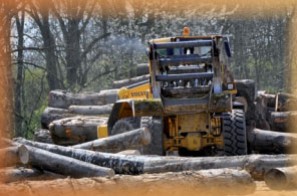 Signature d’un contrat stratégique en faveur de la Filière-Bois