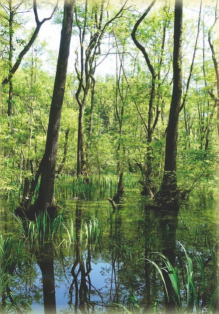 Natura 2000, quoi de neuf ?