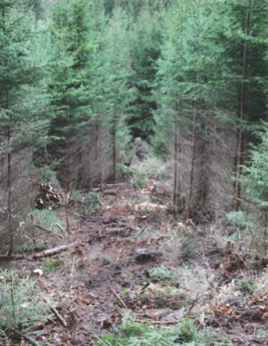 Quand Bois-Energie rime avec sylviculture