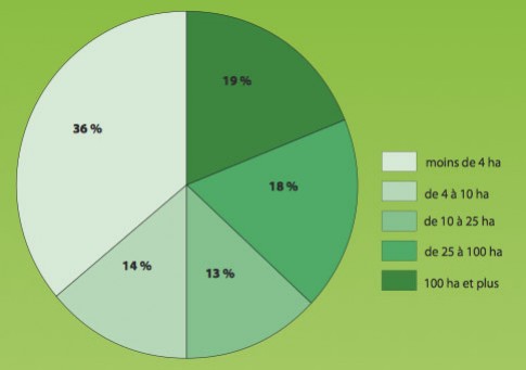 Forêts privées : quels propriétaires, quelles forêts ?