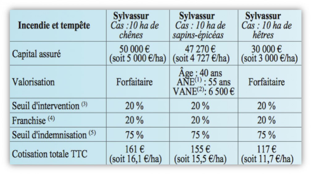 Sylvassur : enfin, un système d’assurance tempête adapté aux forestiers !