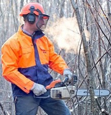 Les "nouvelles" règles d’hygiène et sécurité sur les chantiers forestiers