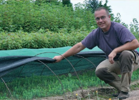 Redonner du punch aux plantations !