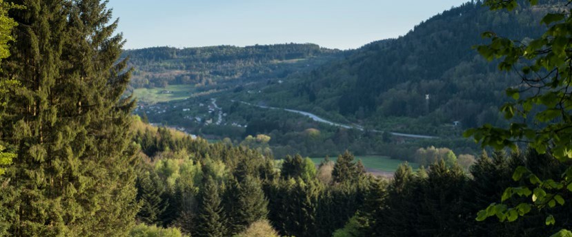 La Forêt Privée ne serait pas vertueuse ?