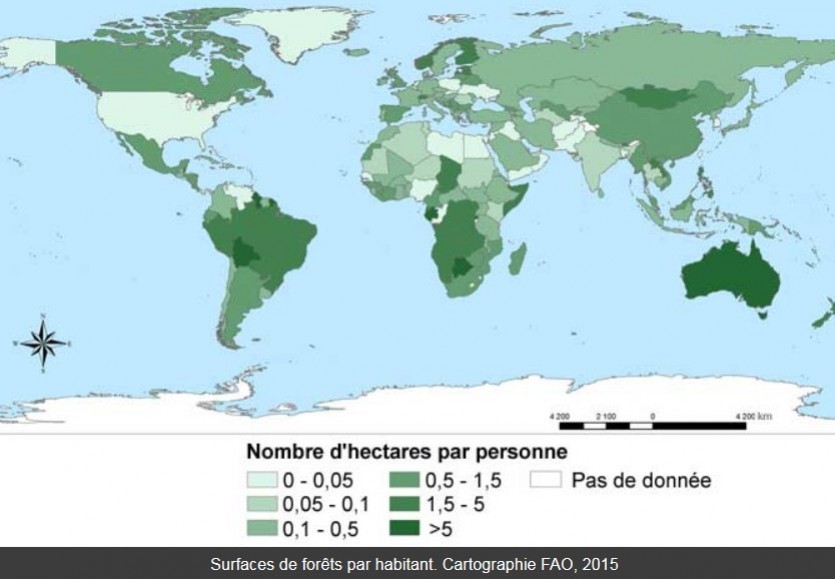 Construire une stratégie forestière qui transcende les frontières