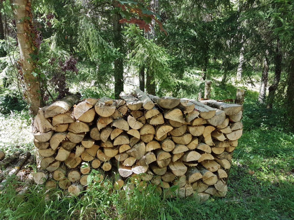 Faire son bois de chauffage, un réel plaisir mais attention aux accidents !