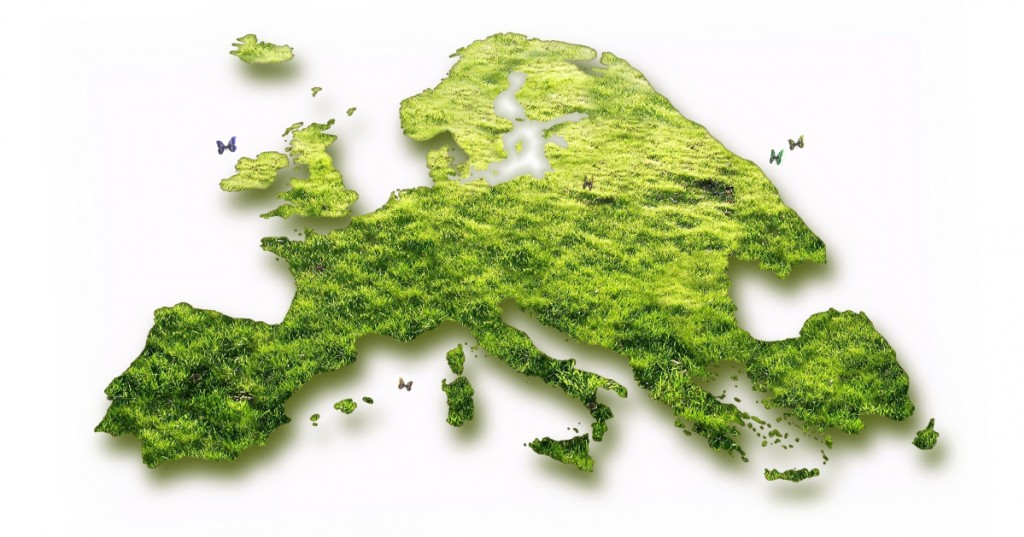 La récolte de bois en France en 2019, bilan, analyse des prix, et perspectives 