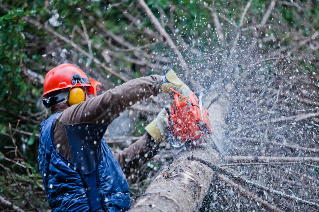 L’attractivité des métiers qu’offre la forêt. Un point commun : la passion