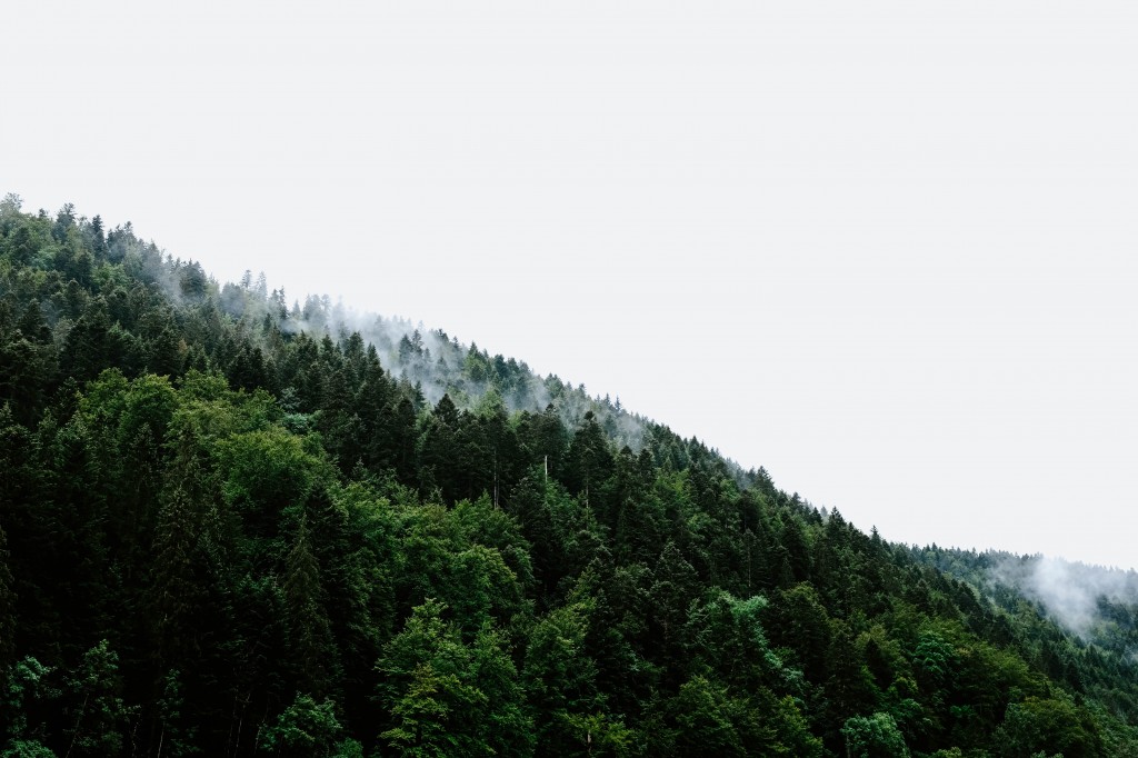 Février - Au fil des saisons