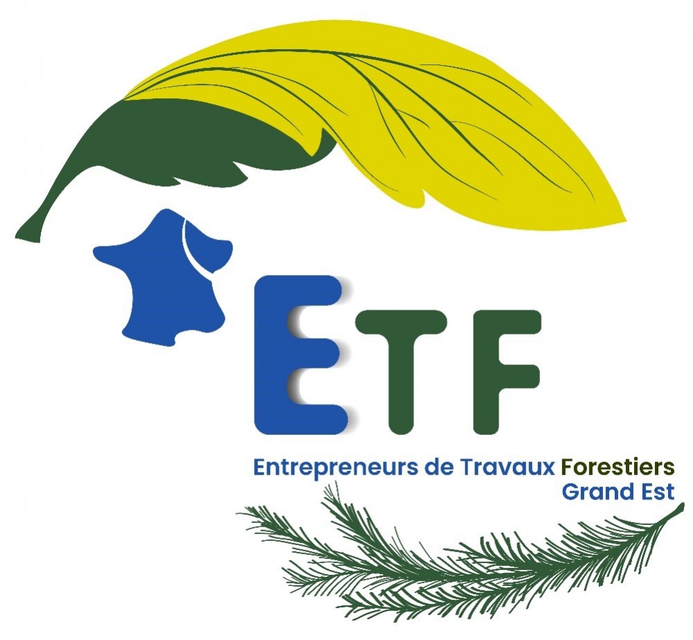 Une association des Entreprises des Travaux Forestiers du Grand Est