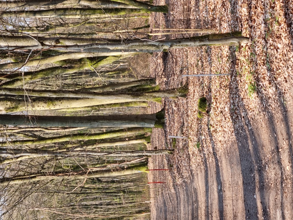 Retrouver ma parcelle forestière 