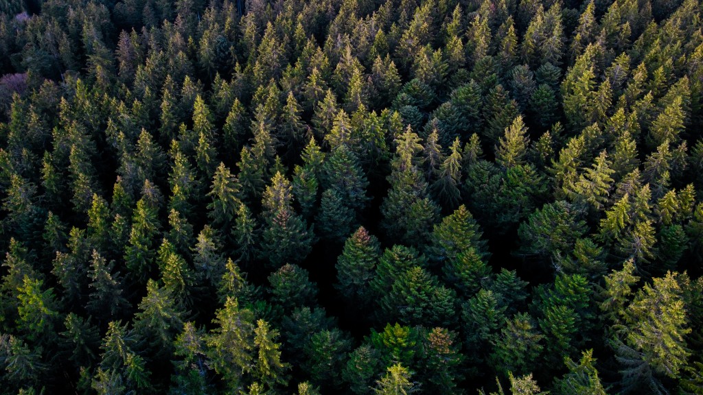 Notre engagement envers Plantons pour l’Avenir 