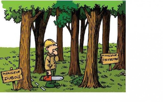 Regroupement du foncier forestier en forêt privée : un enjeu majeur 