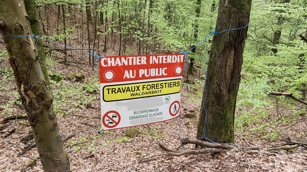 Chantiers forestiers et sylvicoles, n’oubliez pas de les déclarer !