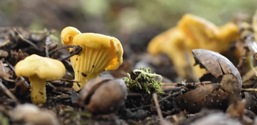 Les nouvelles du mois d'octobre