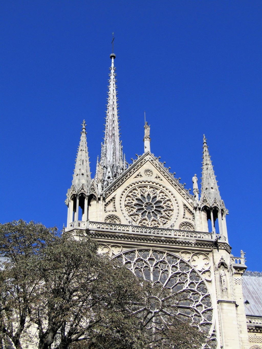 Notre-Dame de Paris, le grand œuvre de nombreux forestiers...