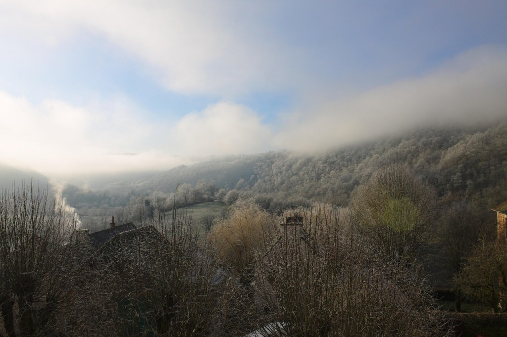 Feux de forêts : c’est maintenant qu’on débroussaille !