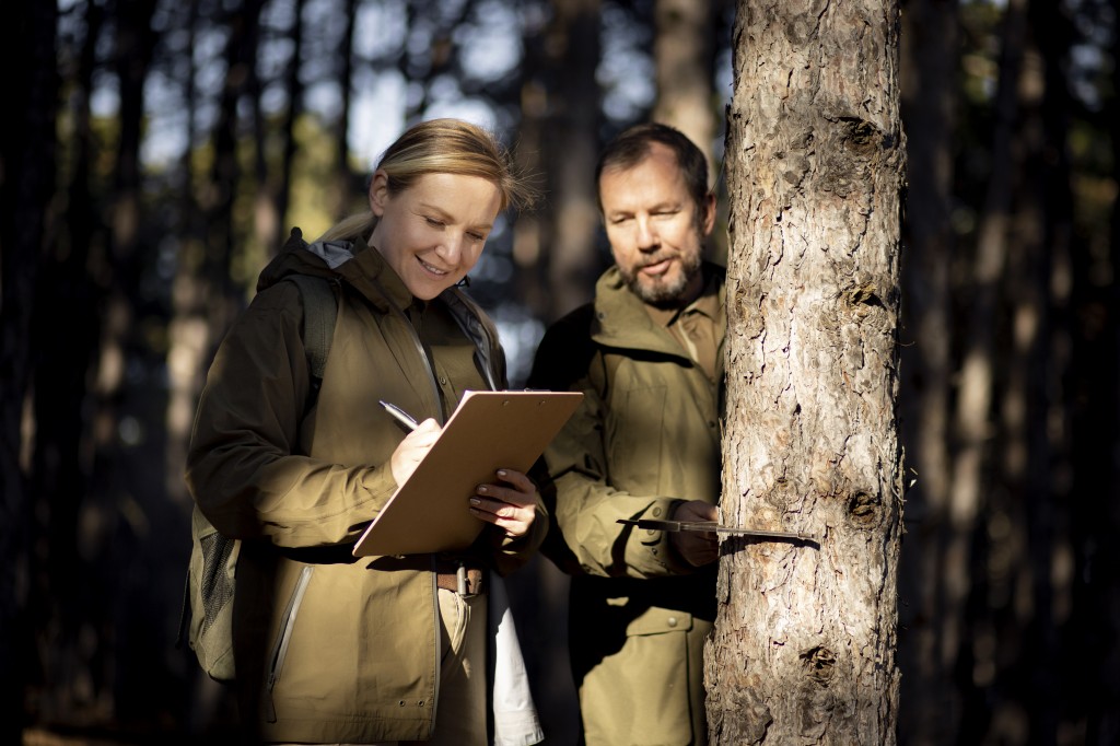 Plan simple de gestion forestier : abaissement du seuil de surface à 20 hectares