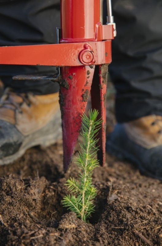 Quelles techniques de plantation et avec quels outils ?