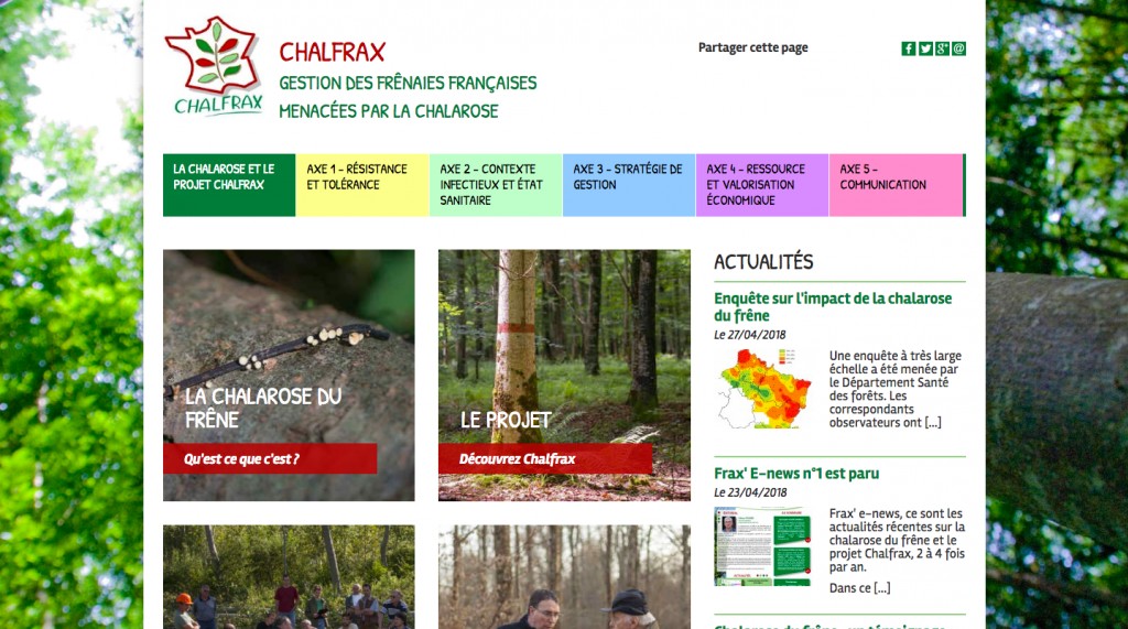 CHALFRAX