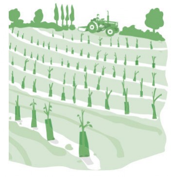 Mai - Au fil des saisons 