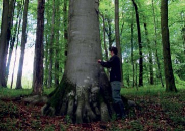 Augmenter la récolte, c’est possible : l’exemple de Breux Meuse