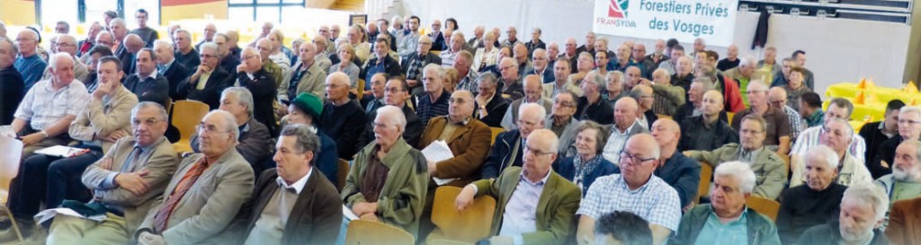 Vosges : les forestiers privés se regroupent pour être plus forts !