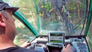 Le déséquilibre forêt-gibier : son coût pour la forêt d'Alsace