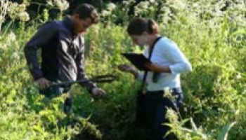 Un nouvel élan pour une populiculture de qualité dans la région Grand Est