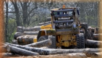 Signature d’un contrat stratégique en faveur de la Filière-Bois