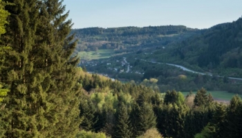 La Forêt Privée ne serait pas vertueuse ?