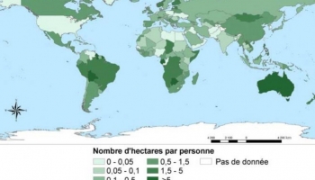 Construire une stratégie forestière qui transcende les frontières