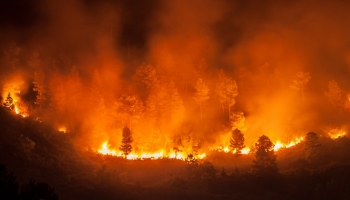 Feux de forêt :  une lutte collective}