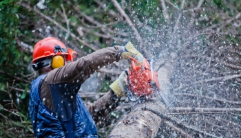 L’attractivité des métiers qu’offre la forêt. Un point commun : la passion