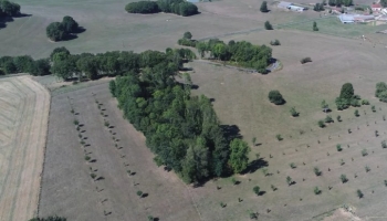 L'agroforesterie en Haute-Marne