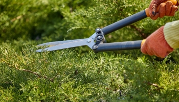 Comment tailler, travailler et entretenir vos espaces verts ?