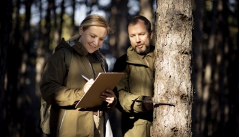 Plan simple de gestion forestier : abaissement du seuil de surface à 20 hectares