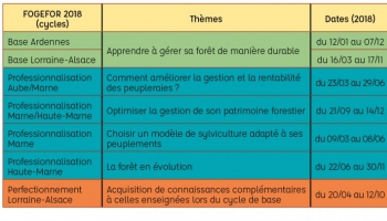 Apprendre à gérer sa forêt grâce aux FOGEFOR !