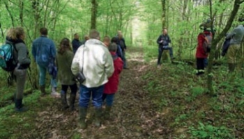 Natura 2000 : des propriétaires engagés dans des réalisations concrètes !