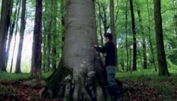 Augmenter la récolte, c’est possible : l’exemple de Breux Meuse