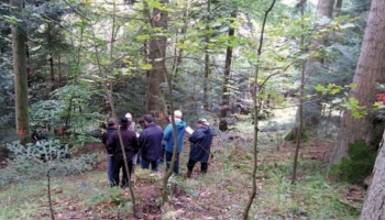 Martelage en futaie irrégulière résineuse : mise en condition lors d’un exercice
