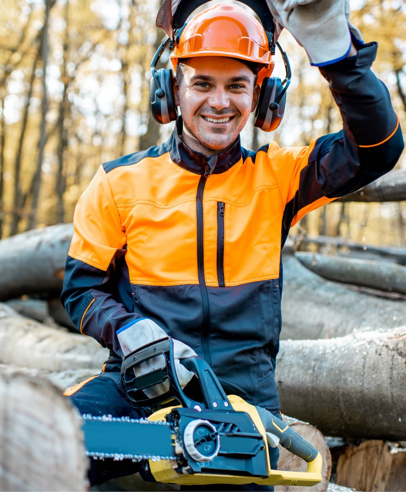 Travaux forestiers